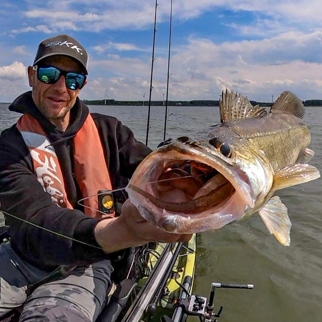 PELAGIC FISHING – Fish Impact