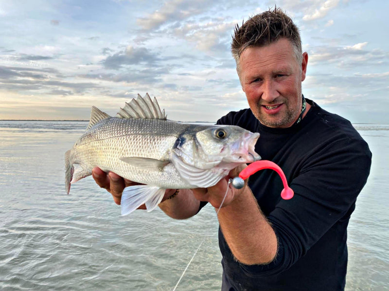 SEABASS FISHING – Fish Impact