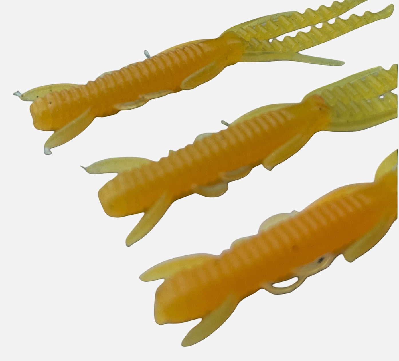 FI Lobsters 6pcs